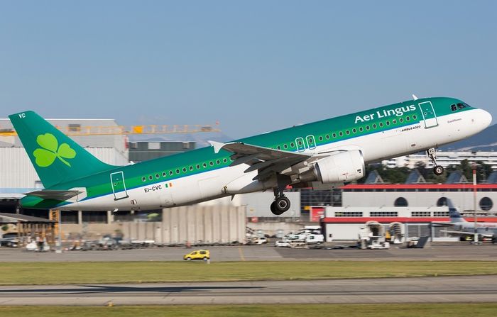 Aer Lingus Airbus A320 Window Panel EI-CVC Aviation Wall Art / Display Piece