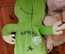 Gotcha pets, funky frog, waterbottle cover or Bag.  new with tags