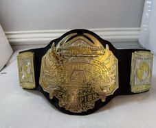 wwe Jakks specific TNA World heavyweight championship kids belt