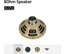 Mojotone alnico anthem 10'