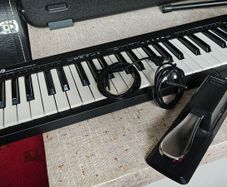 Alesis Q49 midi keyboard controller + sustain pedal