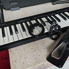 Alesis Q49 midi keyboard controller + sustain pedal