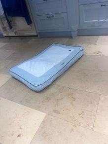 free dog beds