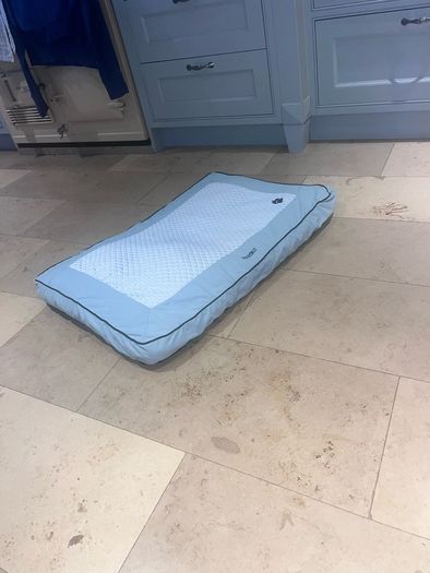 free dog beds