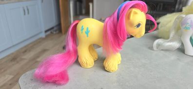 Tex (2) TLC Big Brother Ponies Cowboy MLP G1 My Little Pony