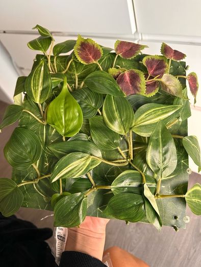 Artificial Plant