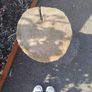 7 cement tree trunk paving stones Image 2