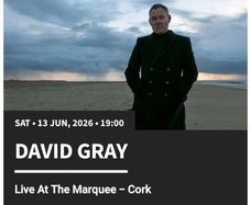 david grey