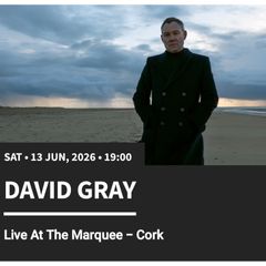 david grey