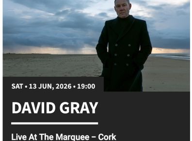 david grey