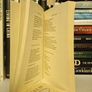 Poets of Munster: An Anthology Edited by Sean Dunne (GT577) Image 4