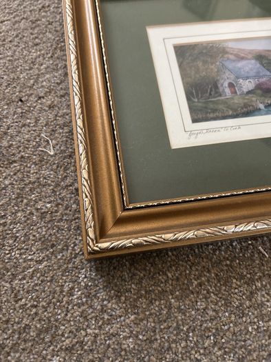 Phillip Gray framed original print of the Gougan Barra Co. Cork