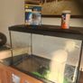 fish tank Image 3