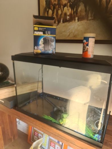 fish tank