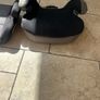 car booster seats Image 3