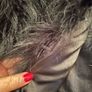 Black Feather Jacket Image 3