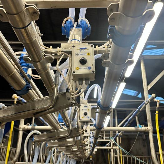 10 Unit Dairymaster Parlour