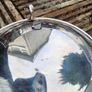 Silver plate x3 Image 3