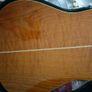 Takamine Image 2