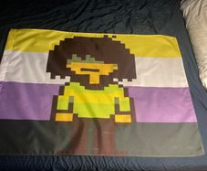 Deltarune Kris Non-Binary Pride Flag