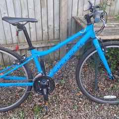 Carrera bike