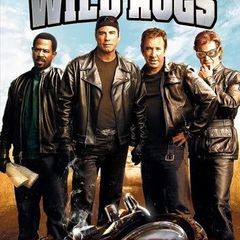 Wild Hogs (DVD)