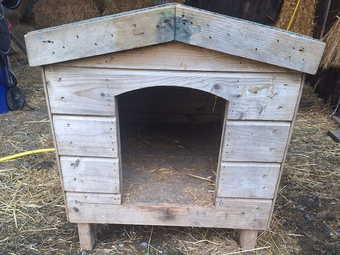 Dog Kennel