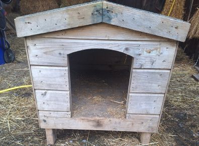 Dog Kennel