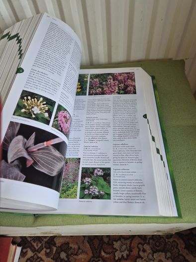 Flora The Gardener's Bible with CD