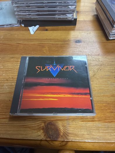 Survivor - Too Hot To Sleep