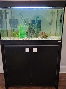 Aquarium  110 liters, stand and accessories