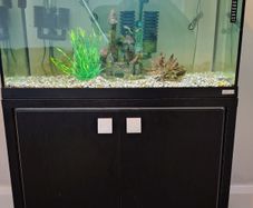 Aquarium  110 liters, stand and accessories
