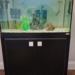 Aquarium  110 liters, stand and accessories
