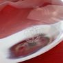 Rare Baccarat paperweight Image 5
