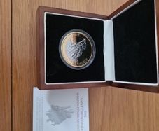 The Saint Christopher Golden Commemorative coin