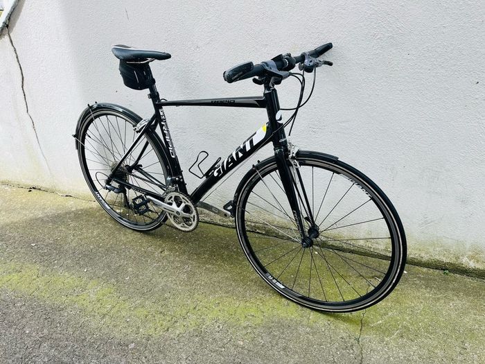 Giant Rapid hybrid bike