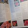 DK / The Royal Horticultural Society encyclopaedia of Roses/ Charles & Brigid Quest- Ritson / 1st edition/ 2003 Image 9