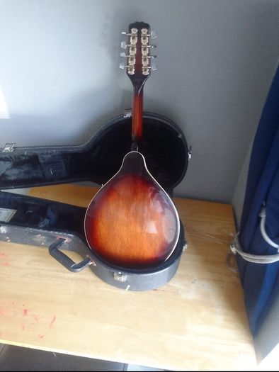 mandolin