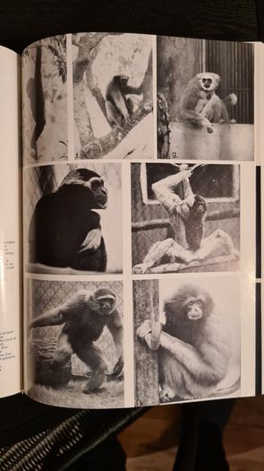 International Zoo Yearbook Volume 18. Edited By P. J. S. Olney. Published By The Zoological Society Of London. First Edition. Hardback With Dustjacket In Very Good Condition.