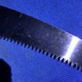 Pruning saw blade Image 2