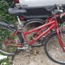 raleigh bikes x 2 Image 6