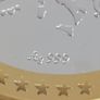 20 g .999 silver Bullion Image 3