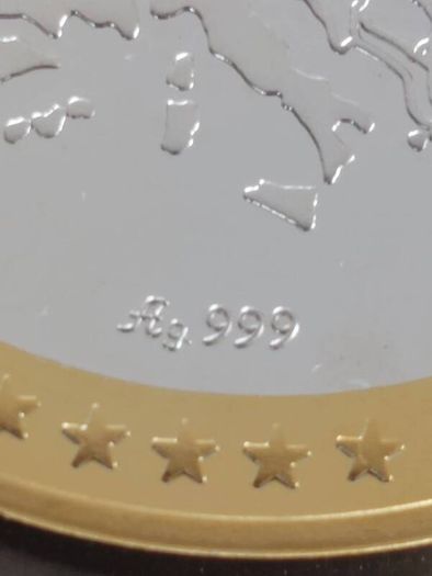 20 g .999 silver Bullion