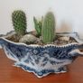 Fabulous Antique Tureen with Cacti Garden - A Fabulous Unique and Decorative Item for Display Indoors Image 10