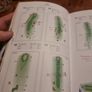 The Strokesaver Guide to the Classic Courses of Great Britain and Ireland (Paperback) Image 5