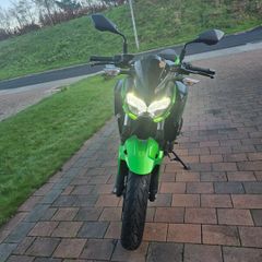 Kawasaki Other 2019