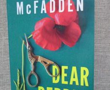 Dear Debbie, Freida Mc Fadden, Book, Fiction, Paperback book