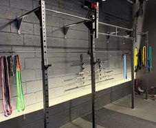 Wall Mounted 2 Bay Squat Rack