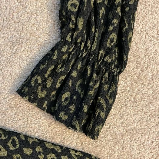 Zara Animal Print Mini Dress