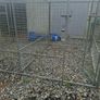 Dog run Image 2